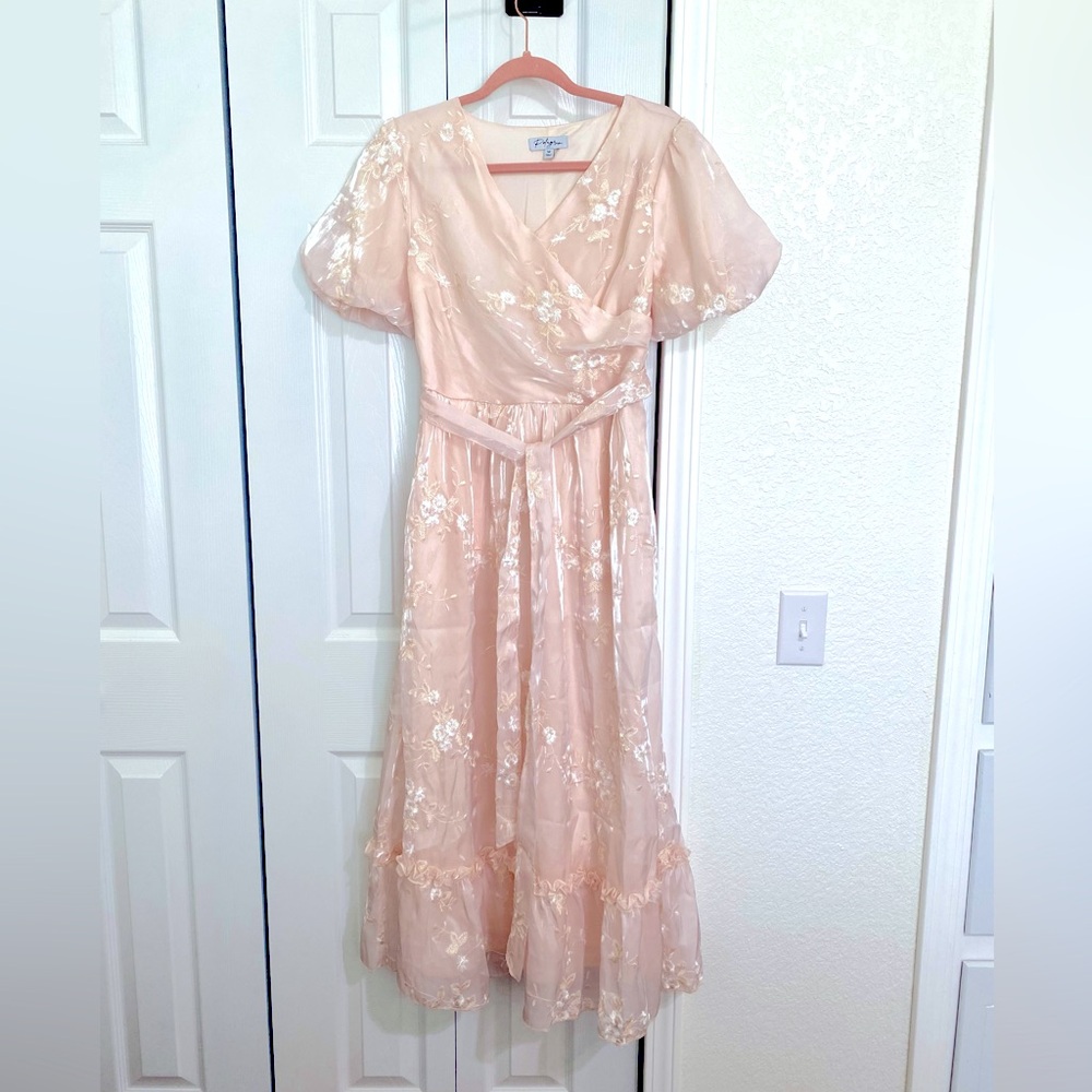 NeeSee’s Sheer Embroidered Blush Pink Maxi Dress